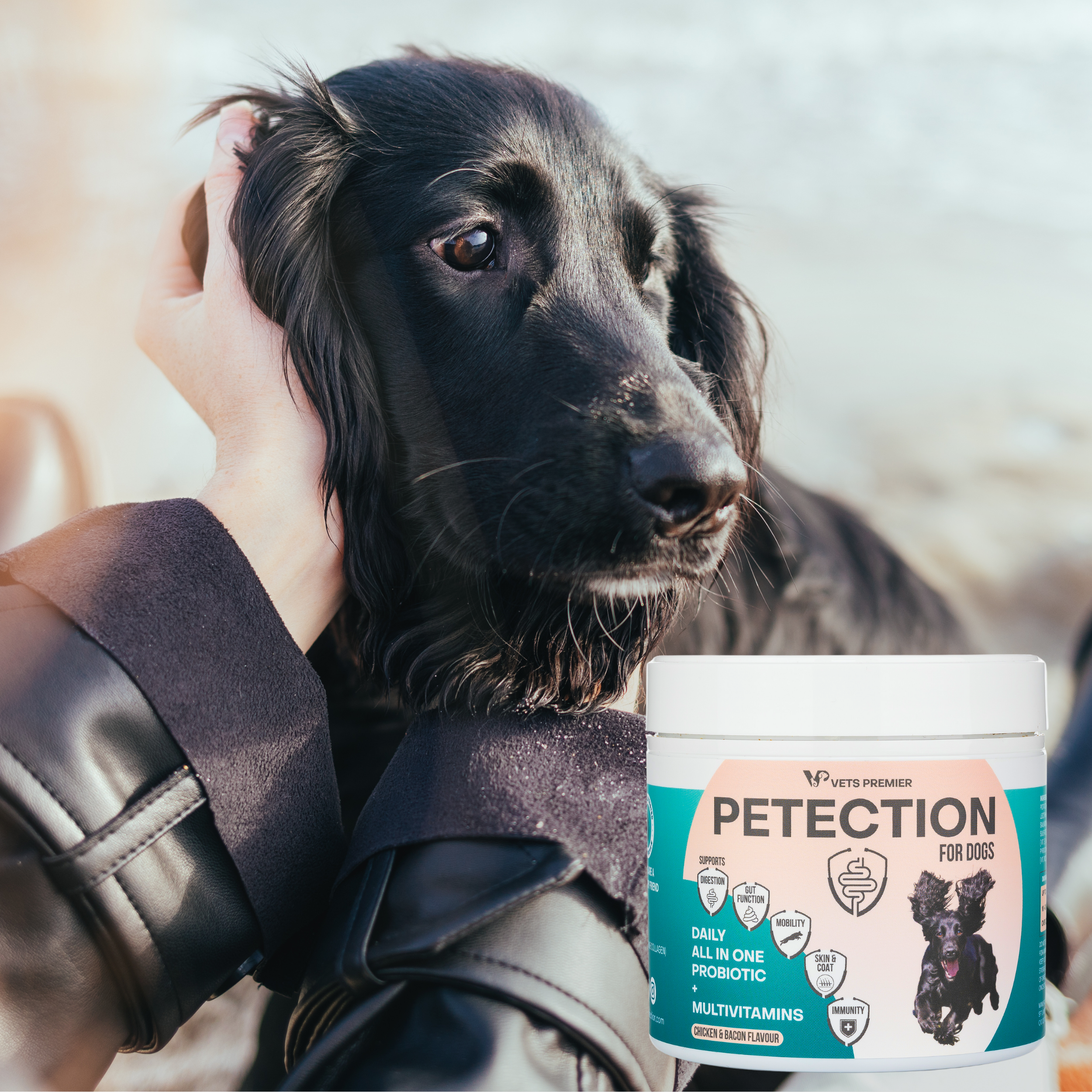 Picture showcasing Petection premium ingredients for dog health