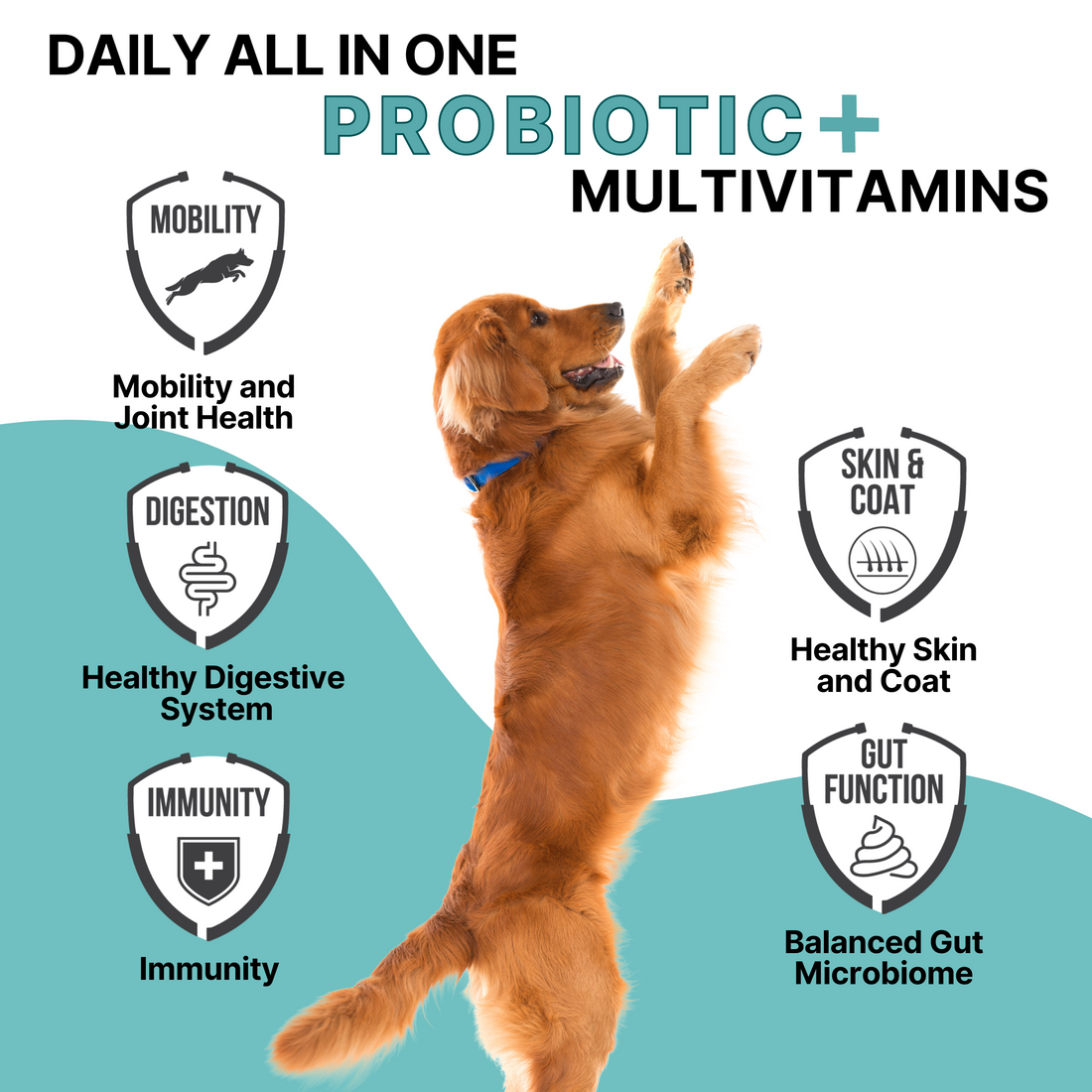 Petection for Dogs - Daily All in One Probiotic + Multivitamins - Trial Size (12 Chews)